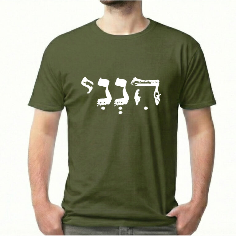 __הנני 3